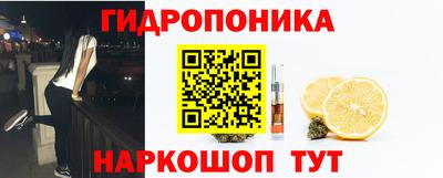 молекула духа Будённовск