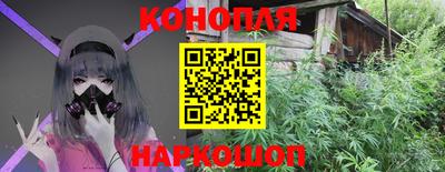 молекула духа Будённовск