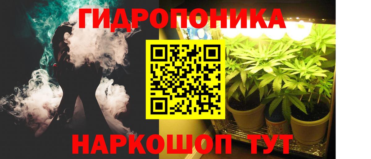 Каннабис сатива  Вход с VPN  Канабис сатива  Бошки марихуана Amnesia  Нурлат  Бошки марихуана Ganja 